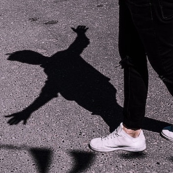raphael-renter-raphi_rawr-vG6ZbRoztr8-unsplash